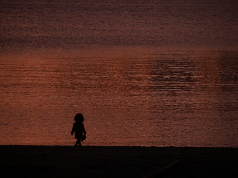 silhueta do homem e da mulher que caminham na praia durante o pôr do sol