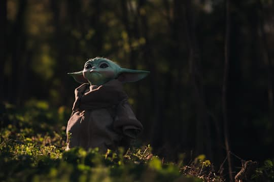 Yoda