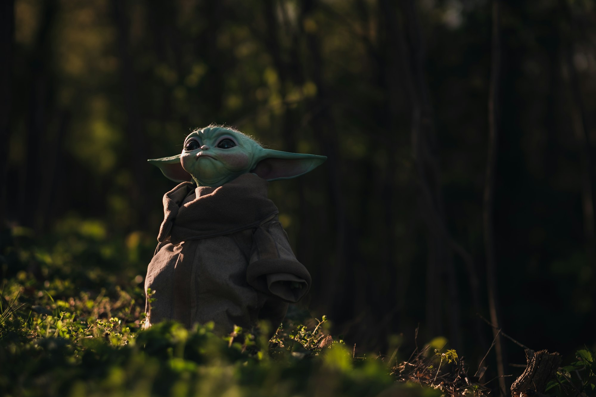 Baby Yoda: 5 curiosidades sobre Grogu