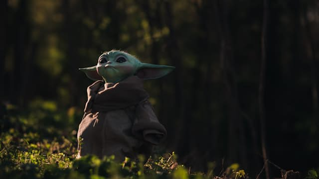 Yoda