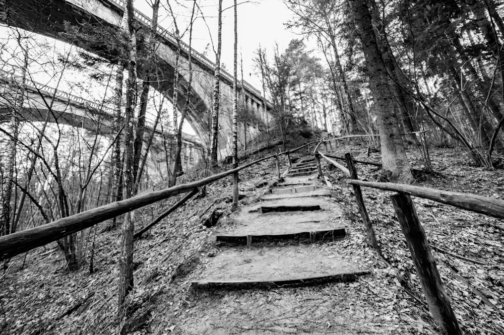 grayscale photo of bridge in forest