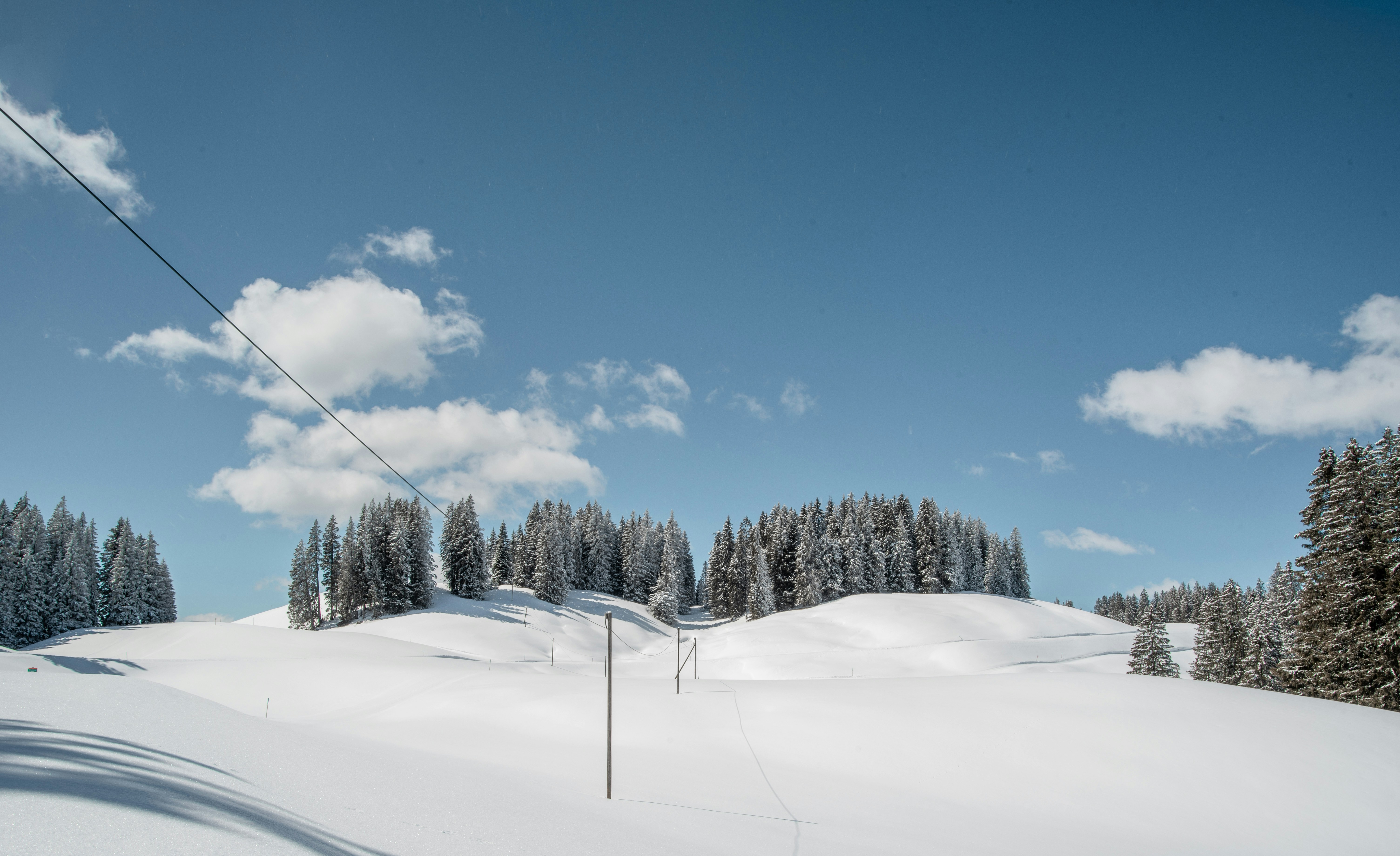 Photo by sven_pieren