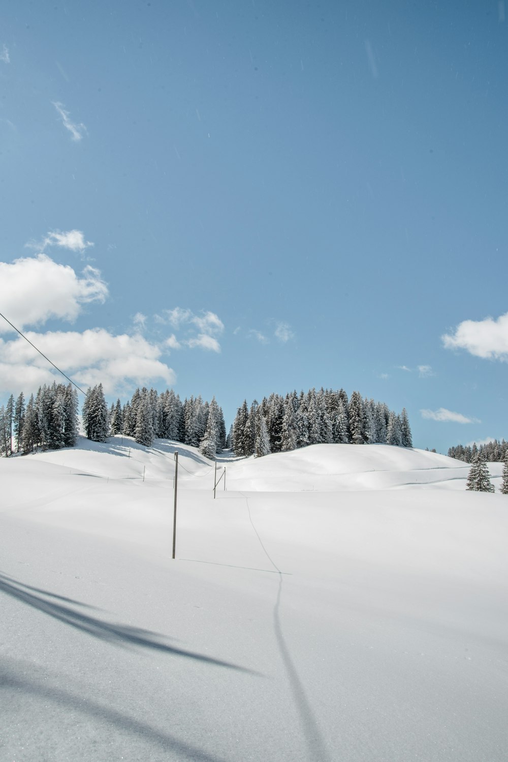 snow covered trees under blue sky during daytime