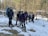 A group of hikers stands in a snowy woodland area. They are equipped with backpacks and outdoor gear, suggesting they are on a trekking trip. The background features a leafless forest with patches of snow on the ground, and a small stream flows through the scene.