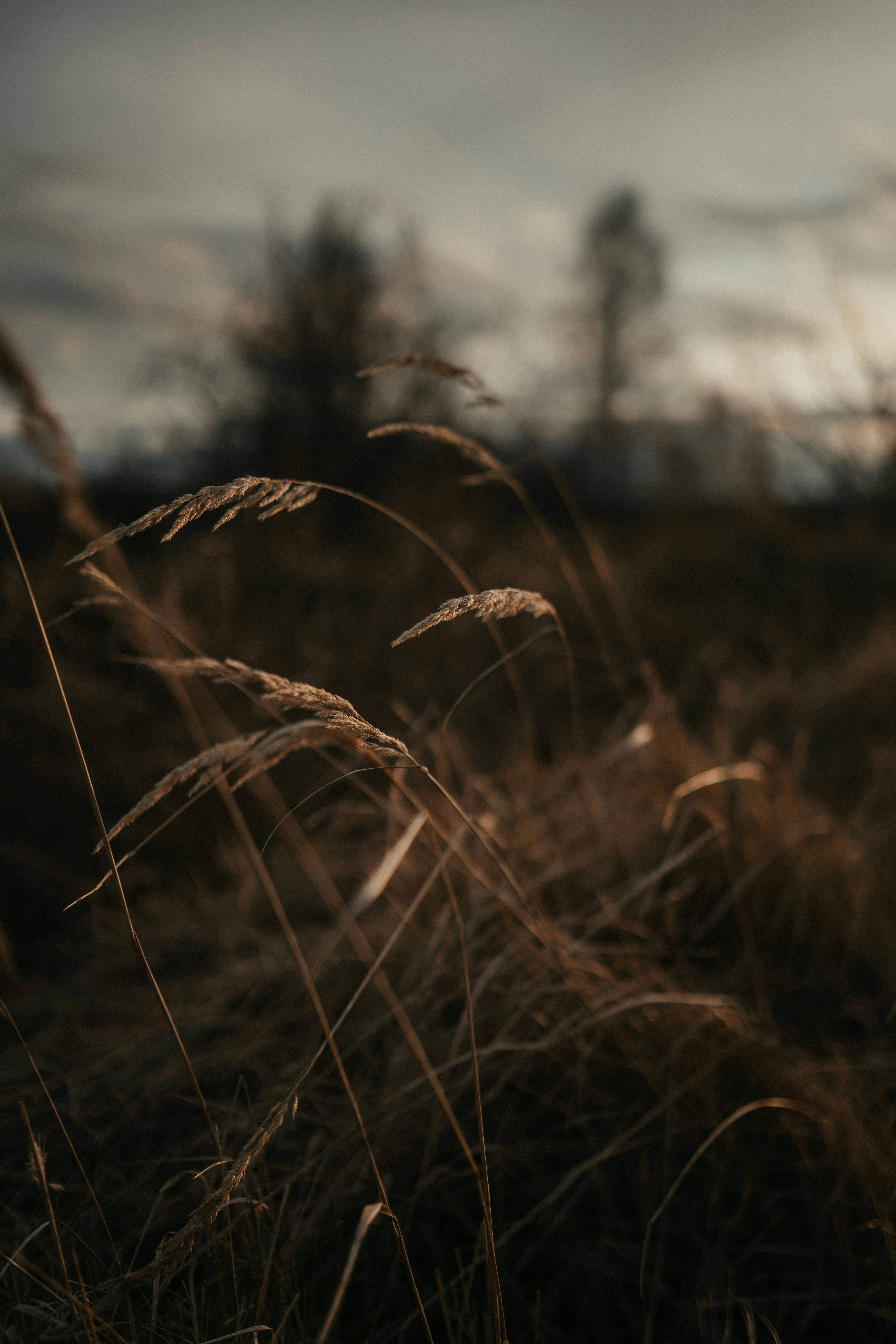 Photo by luiseandnic