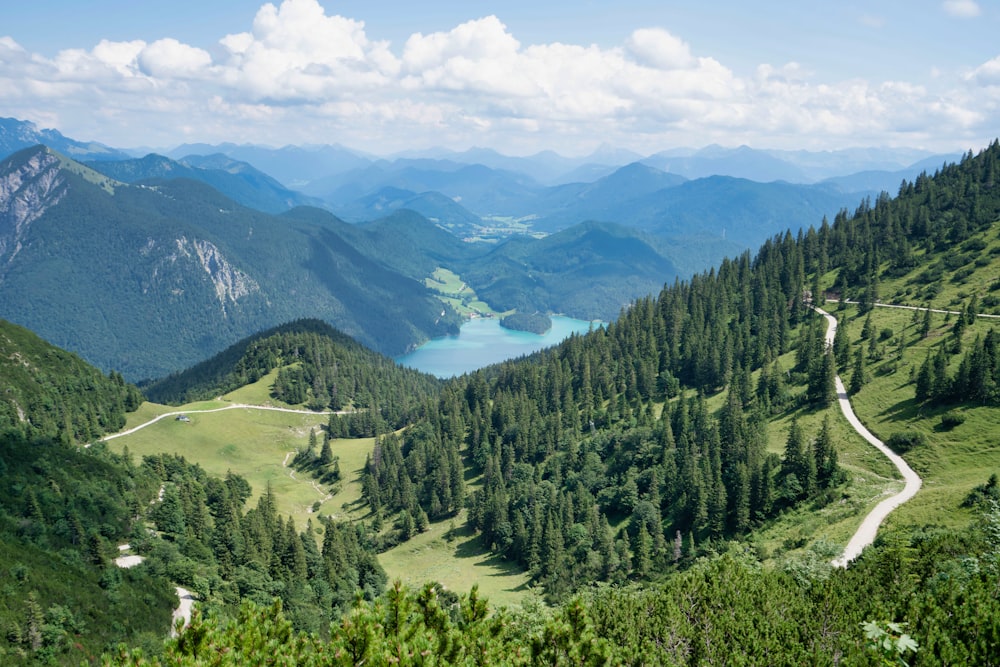 green trees on mountain under white clouds during daytime