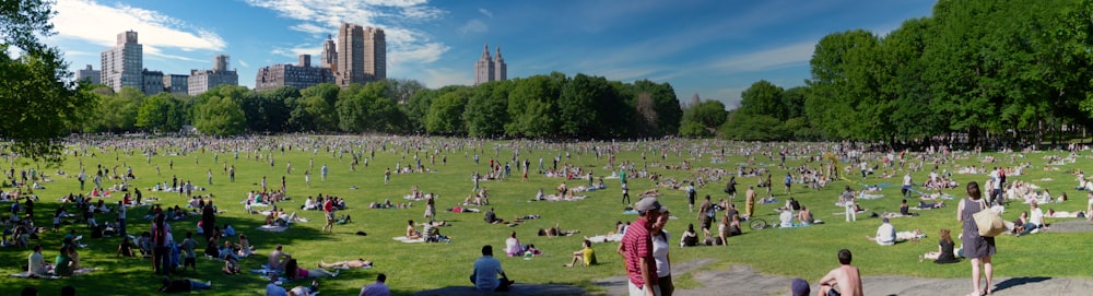 people on green grass field during daytime
