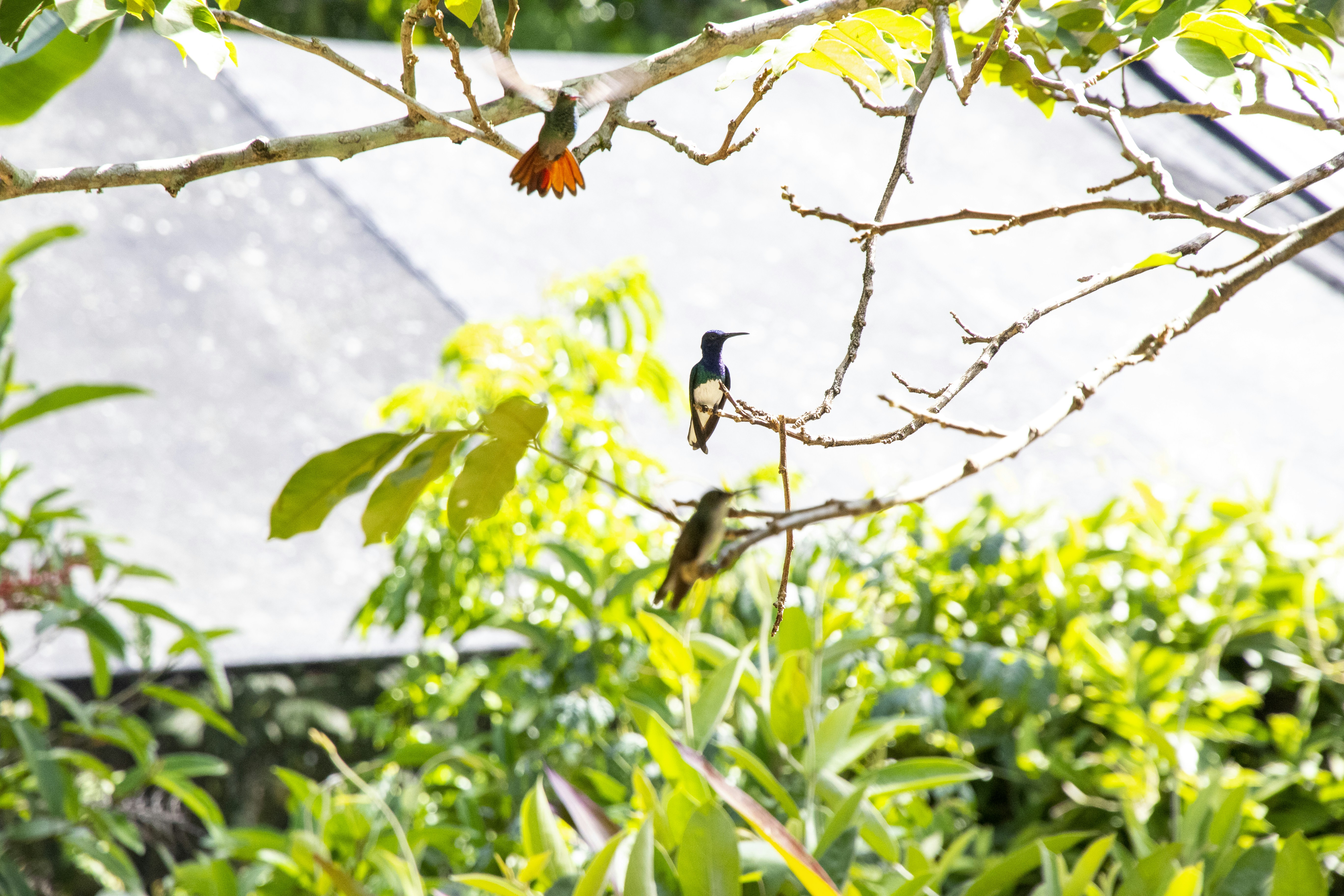 Photo by robincanfield