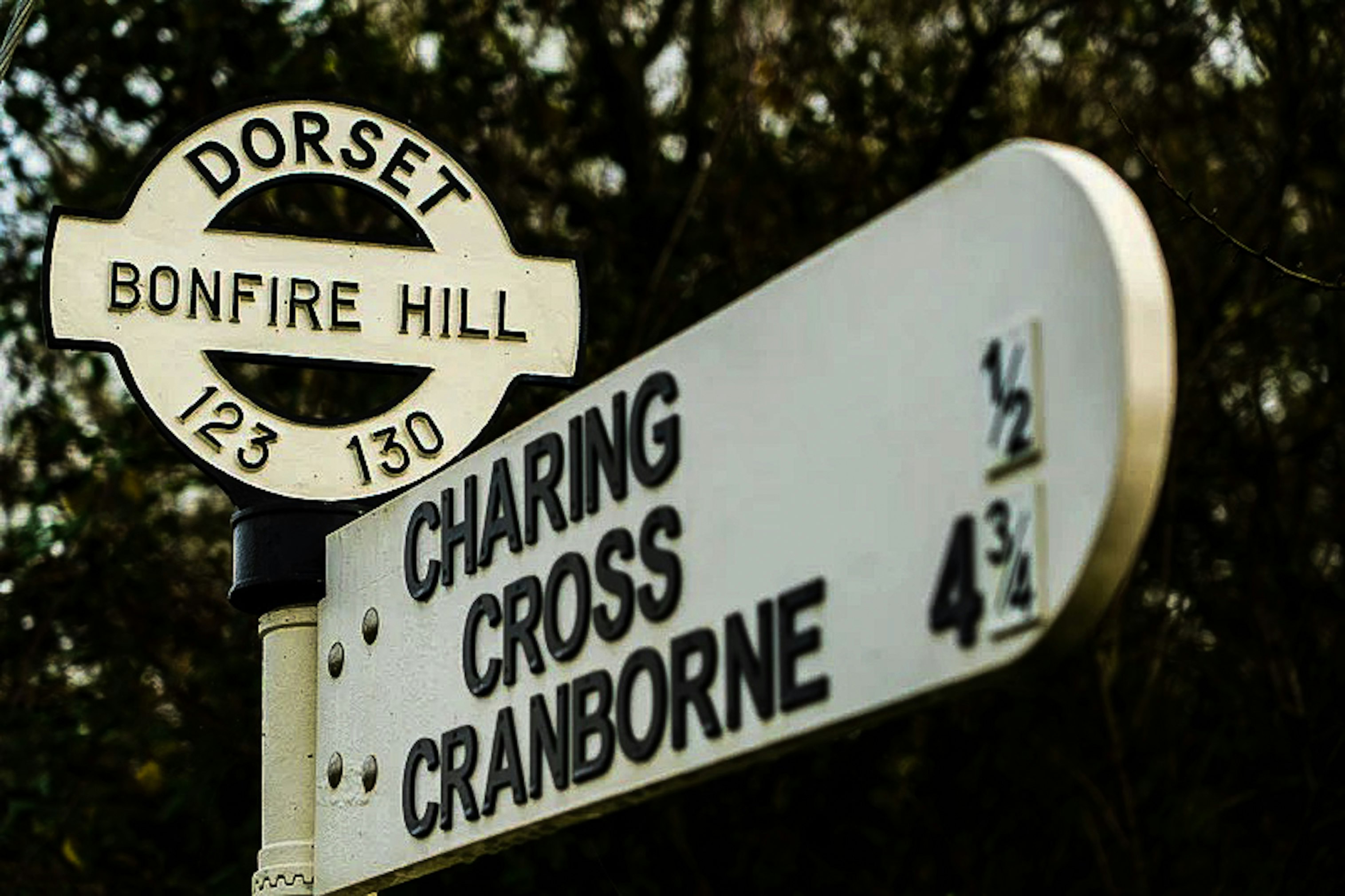 One of Dorset’s many fingerposts, with a radial of Bonfire Hill.