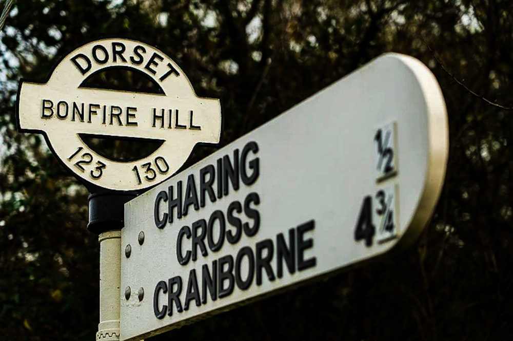 a close up of a street sign with trees in the background