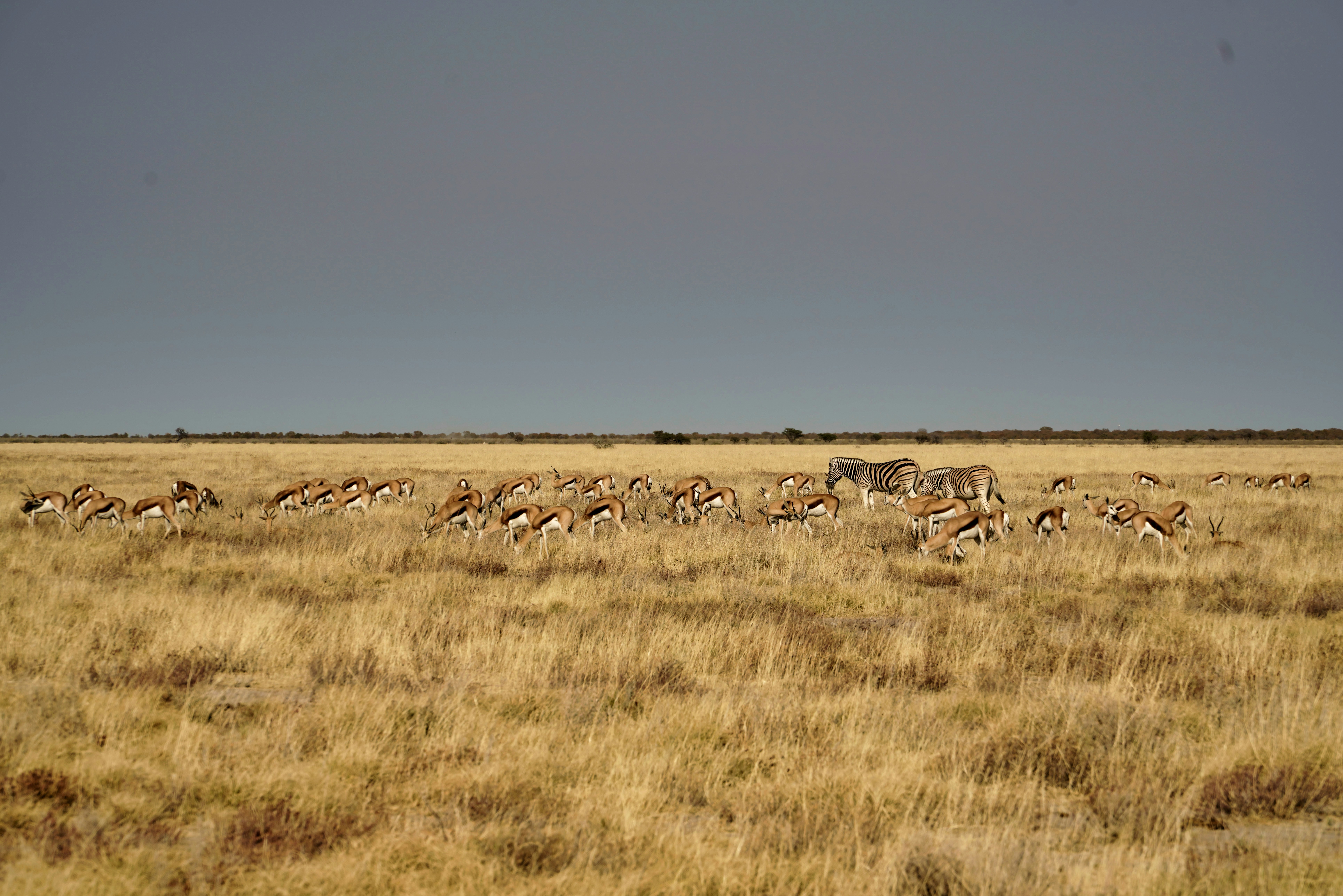 Photo by secrettravelguide