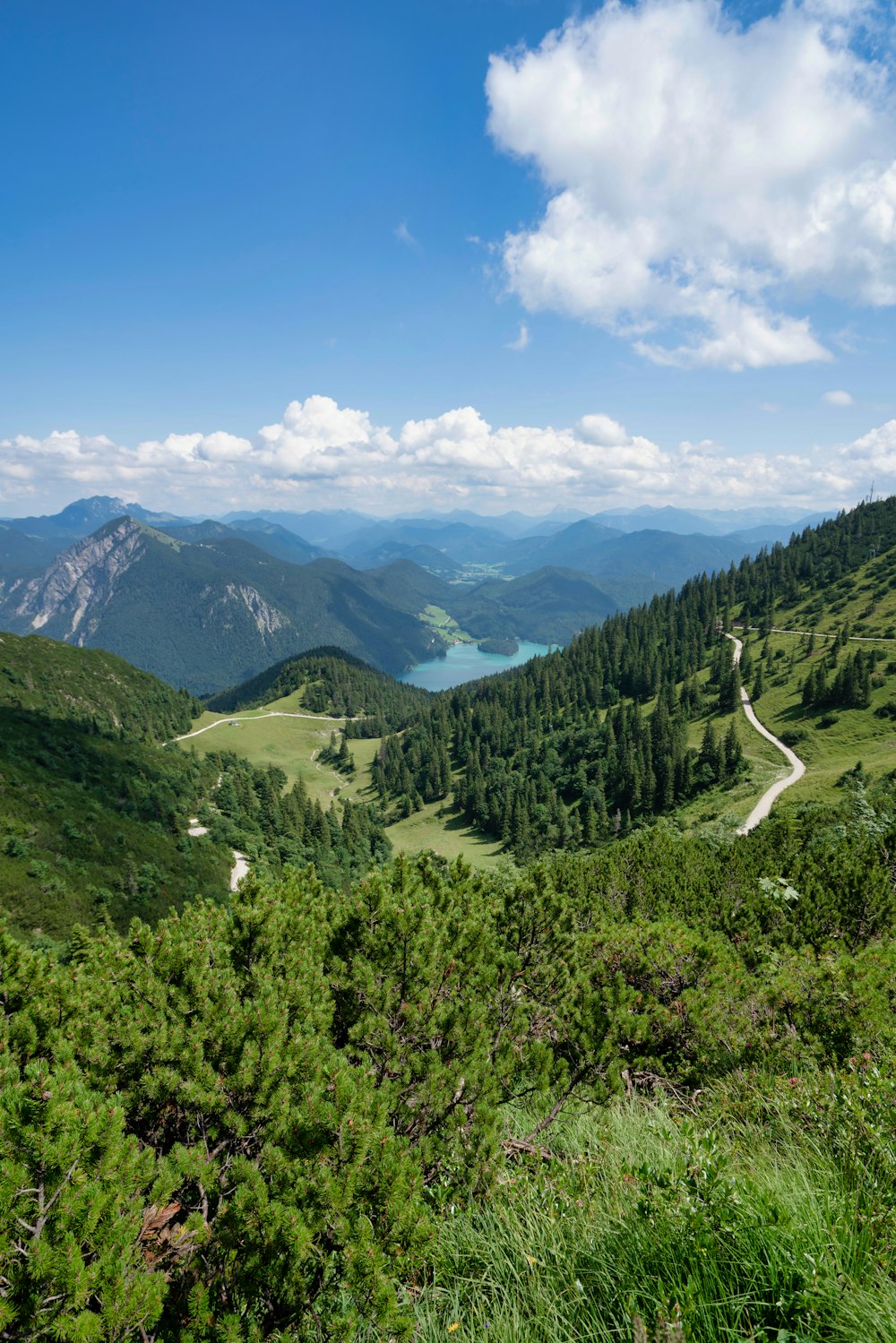 green trees on mountain under blue sky during daytime