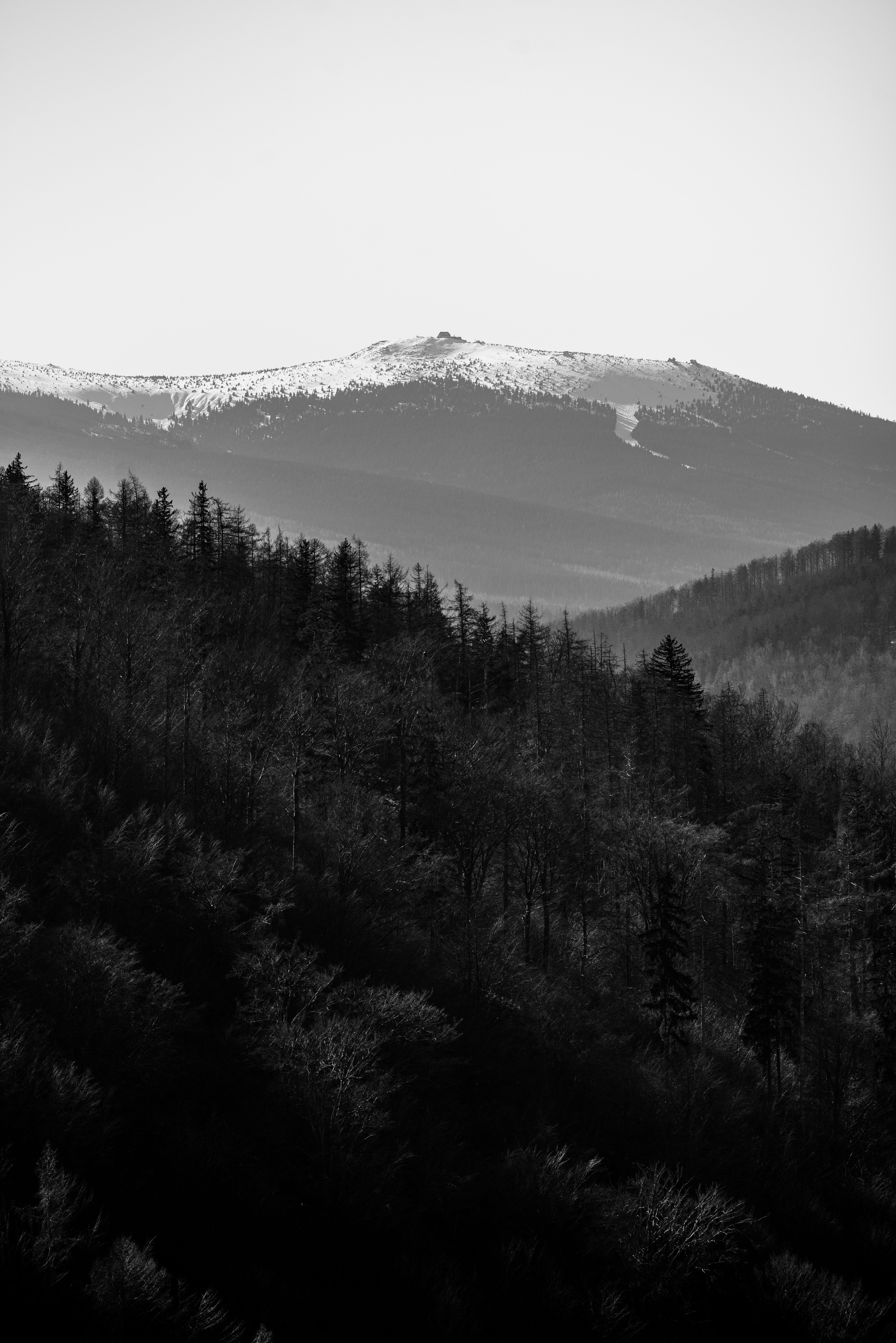 Photo by speedoshots