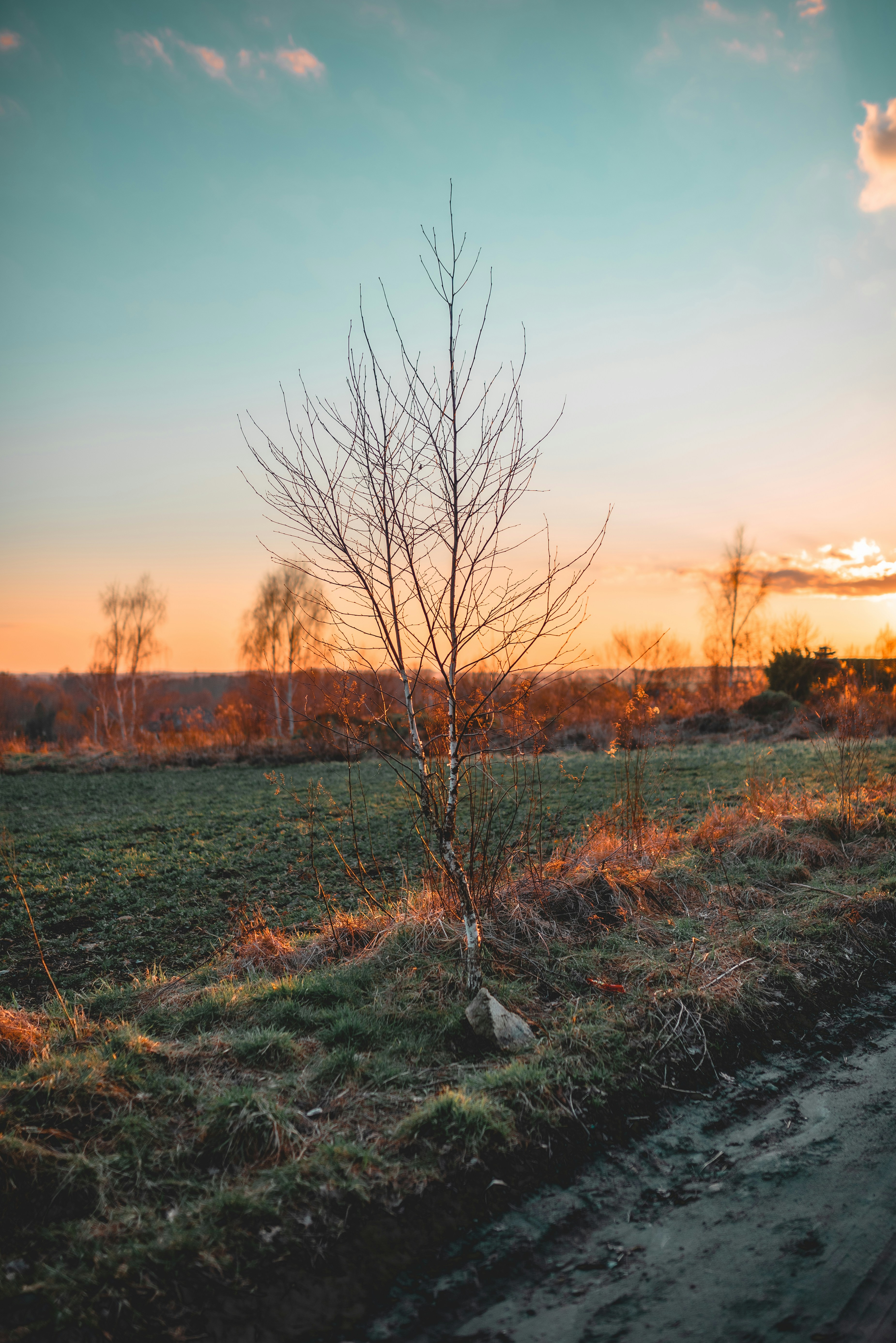 Photo by speedoshots