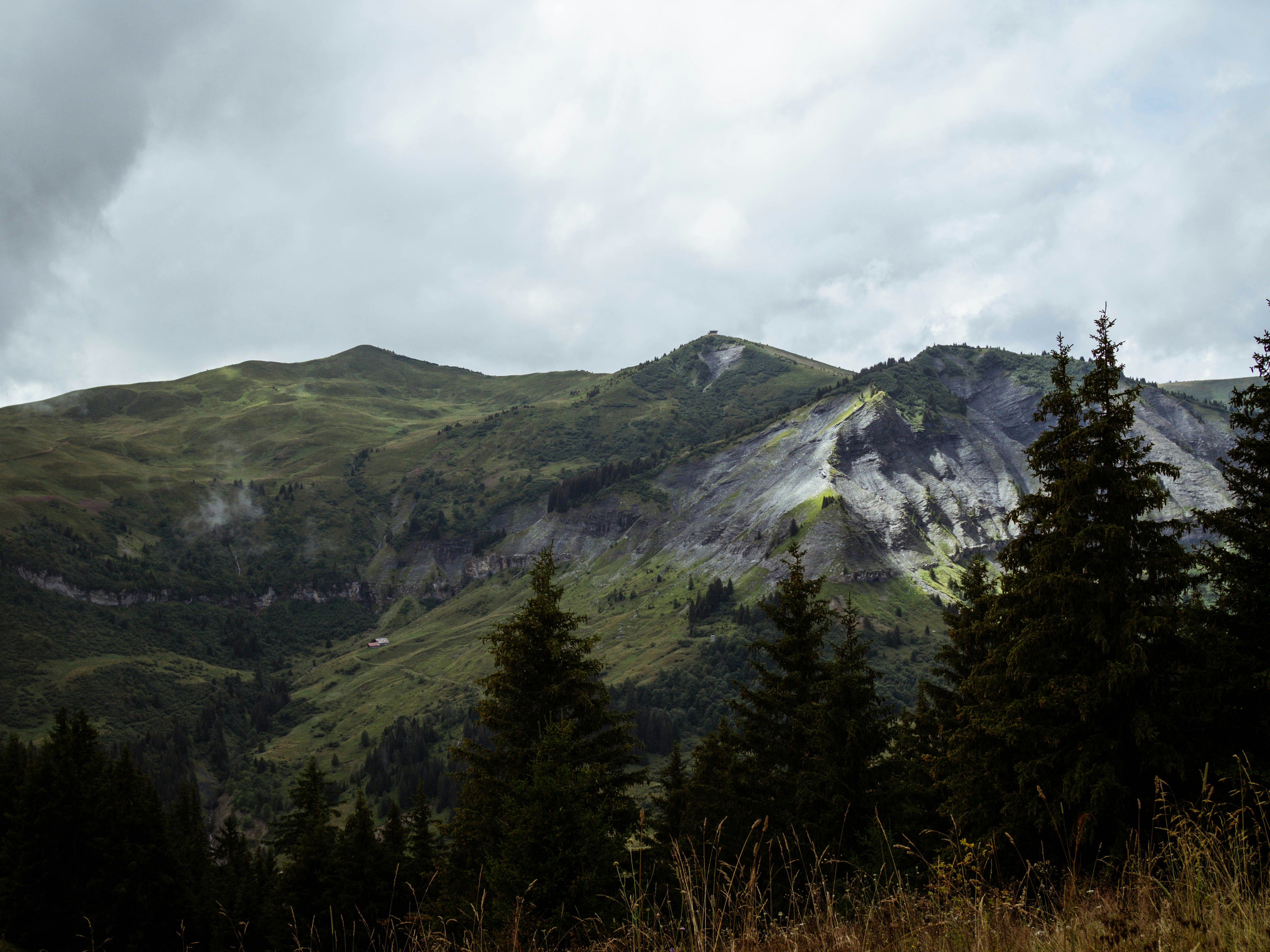 Photo by nicolassottero