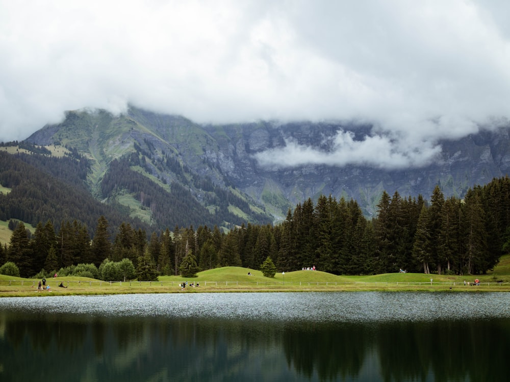 alberi verdi vicino al lago e alla montagna sotto nuvole bianche durante il giorno