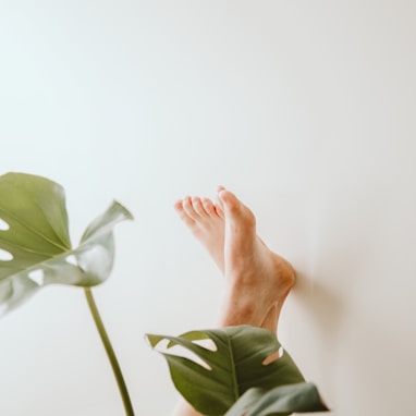 persons left hand on green leaves