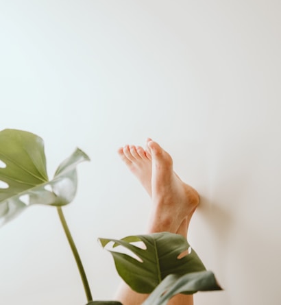 persons left hand on green leaves