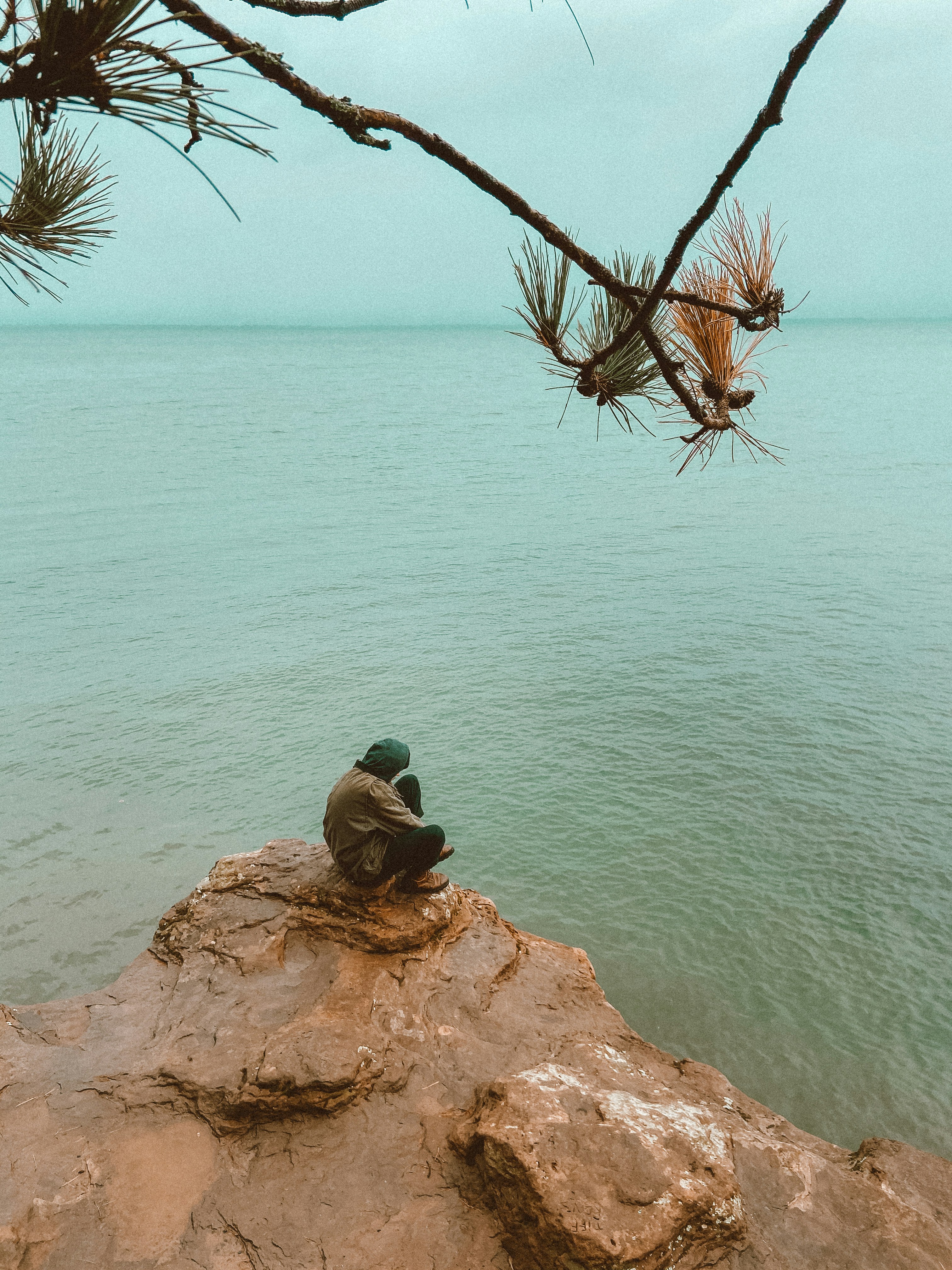 日中、水域近くの茶色の岩の上にいる2羽の茶色と緑色のアヒル