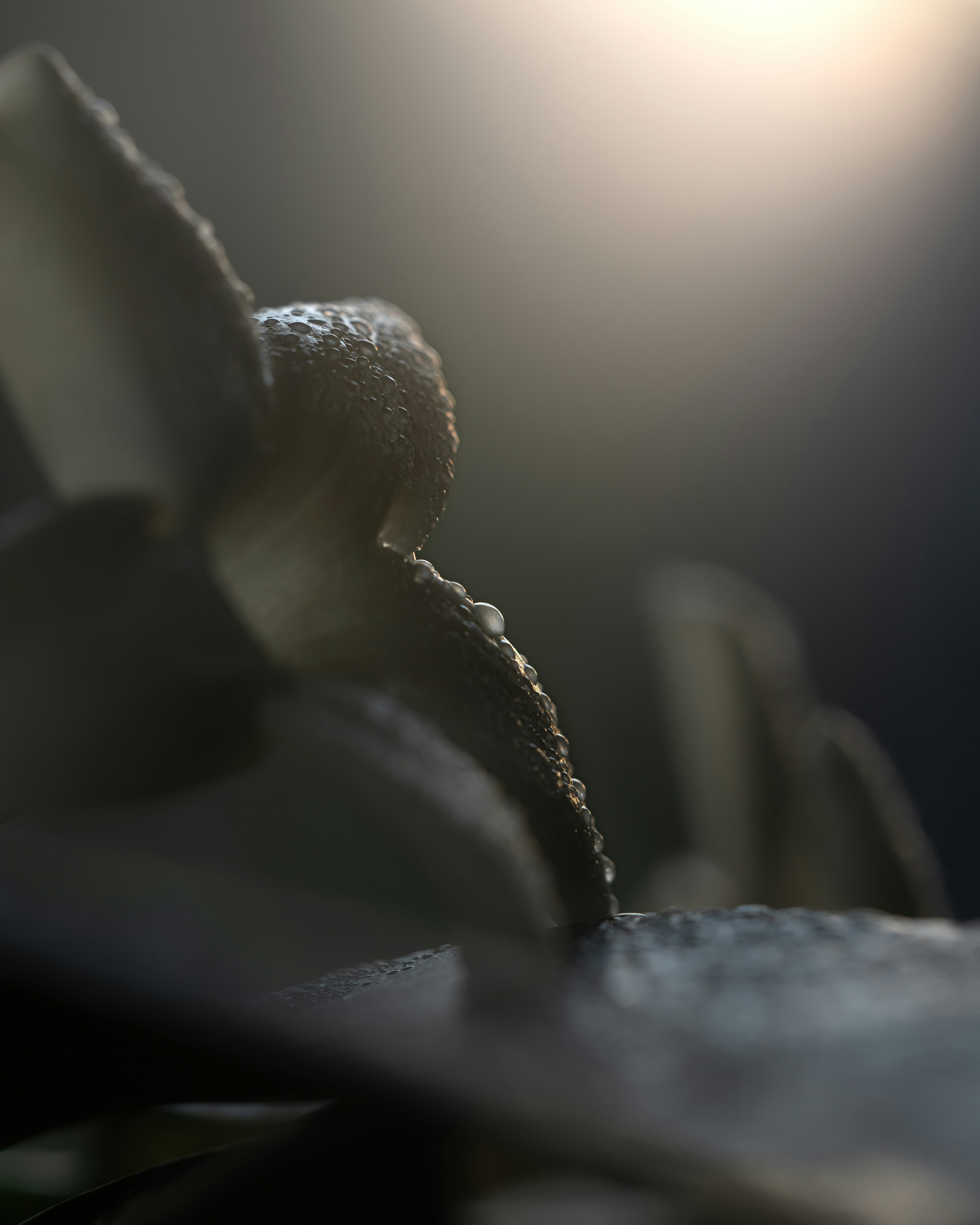 Photo by pixworthmedia