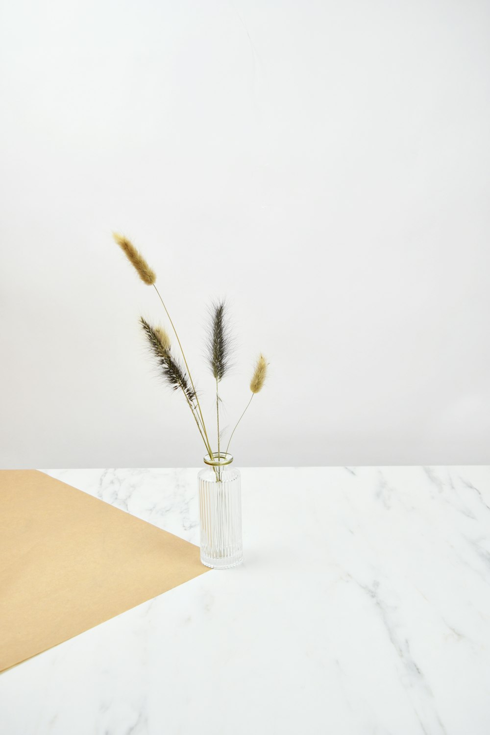 brown plant in clear glass jar