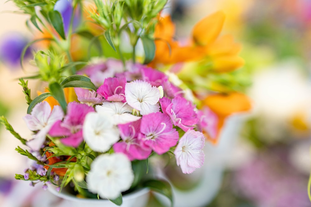 pink and white flowers in tilt shift lens