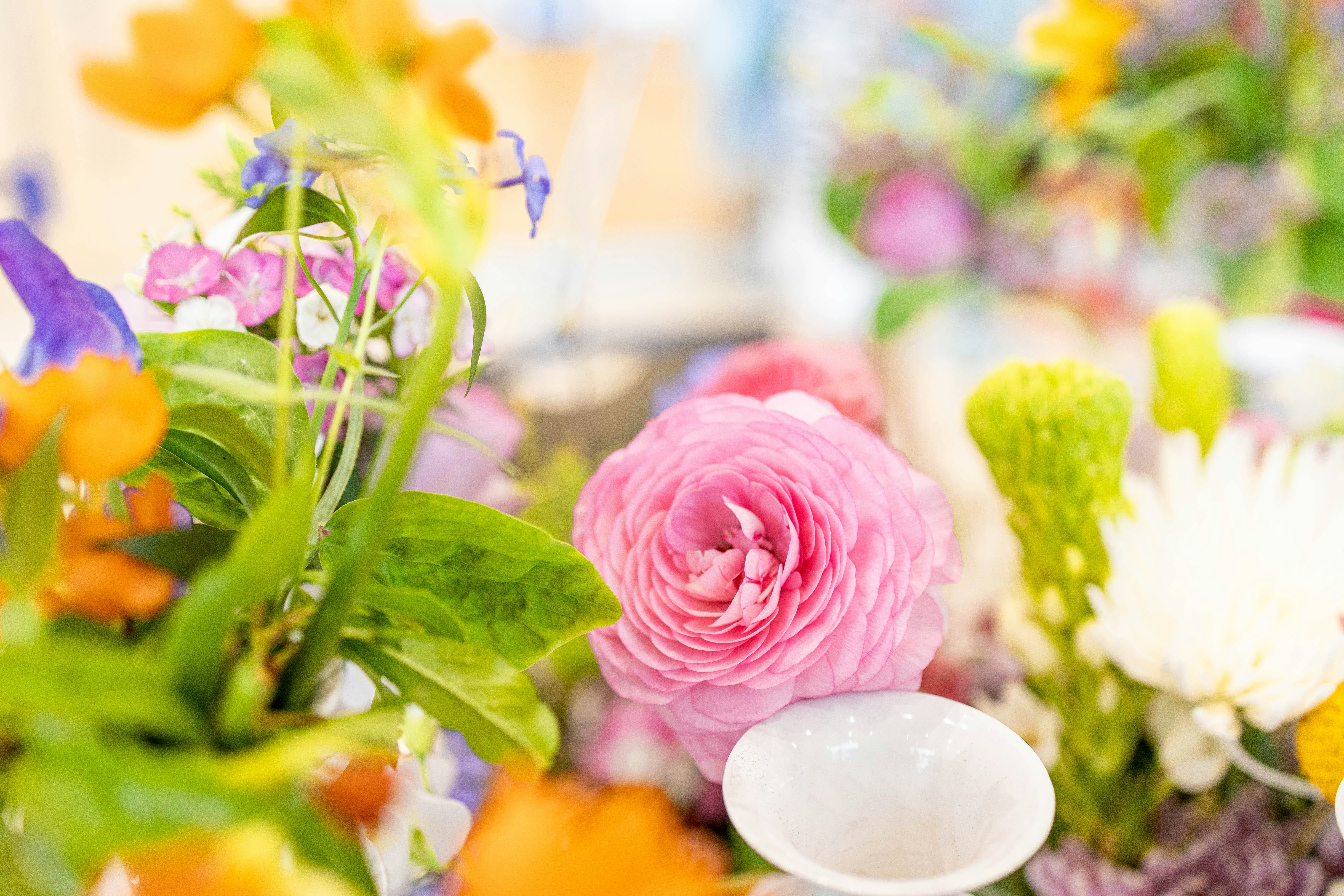 Photo by ucaslexander