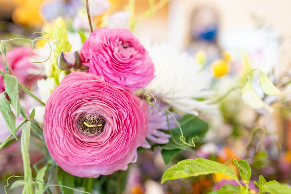 pink rose in bloom during daytime