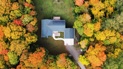 aerial view of green trees and gray concrete building