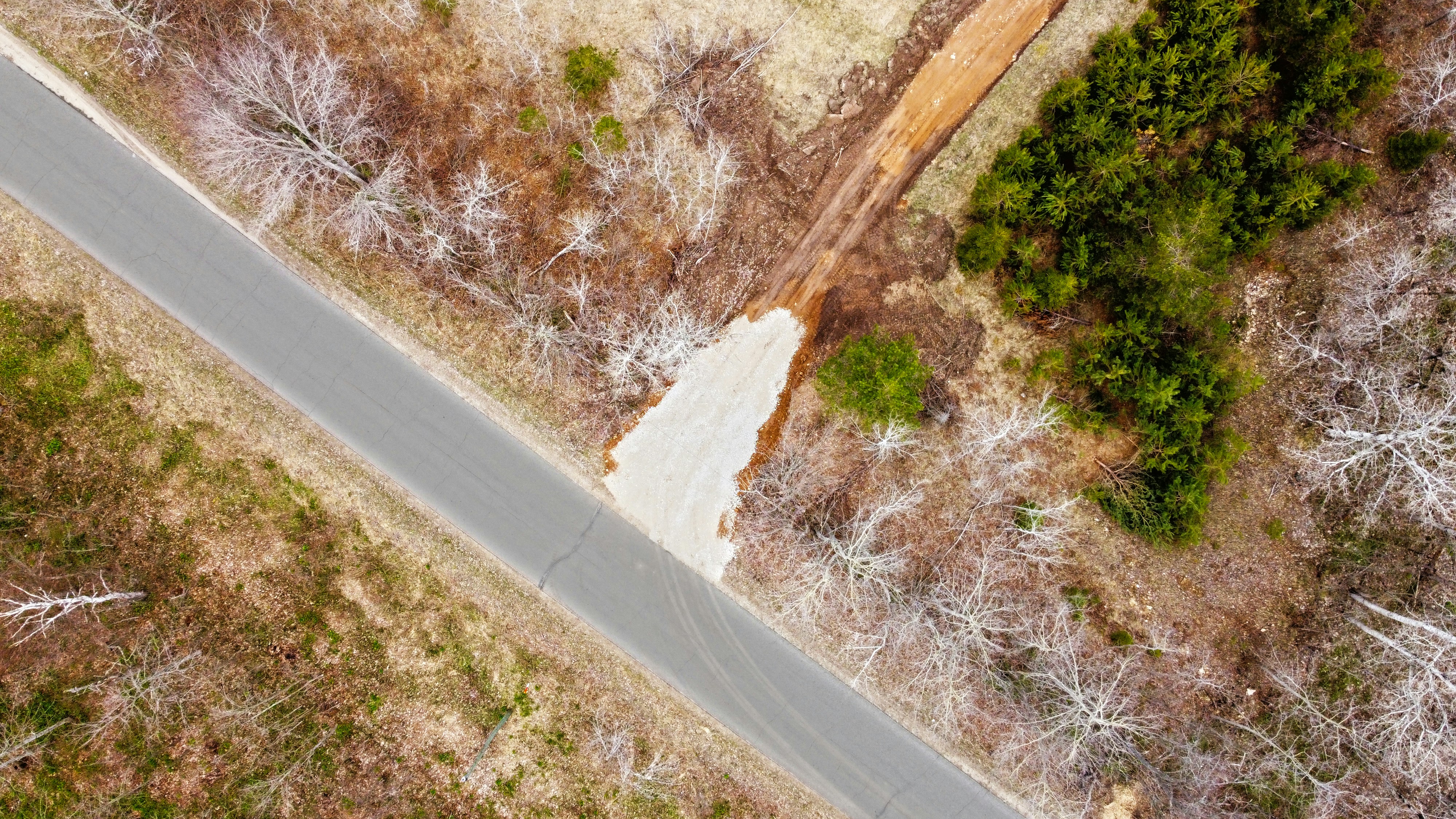 gray road between green and brown trees during daytime
