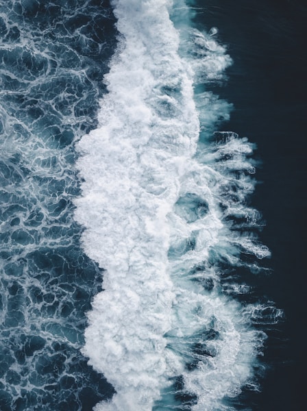 Sourire confiant d'un adulte après soins dentaires