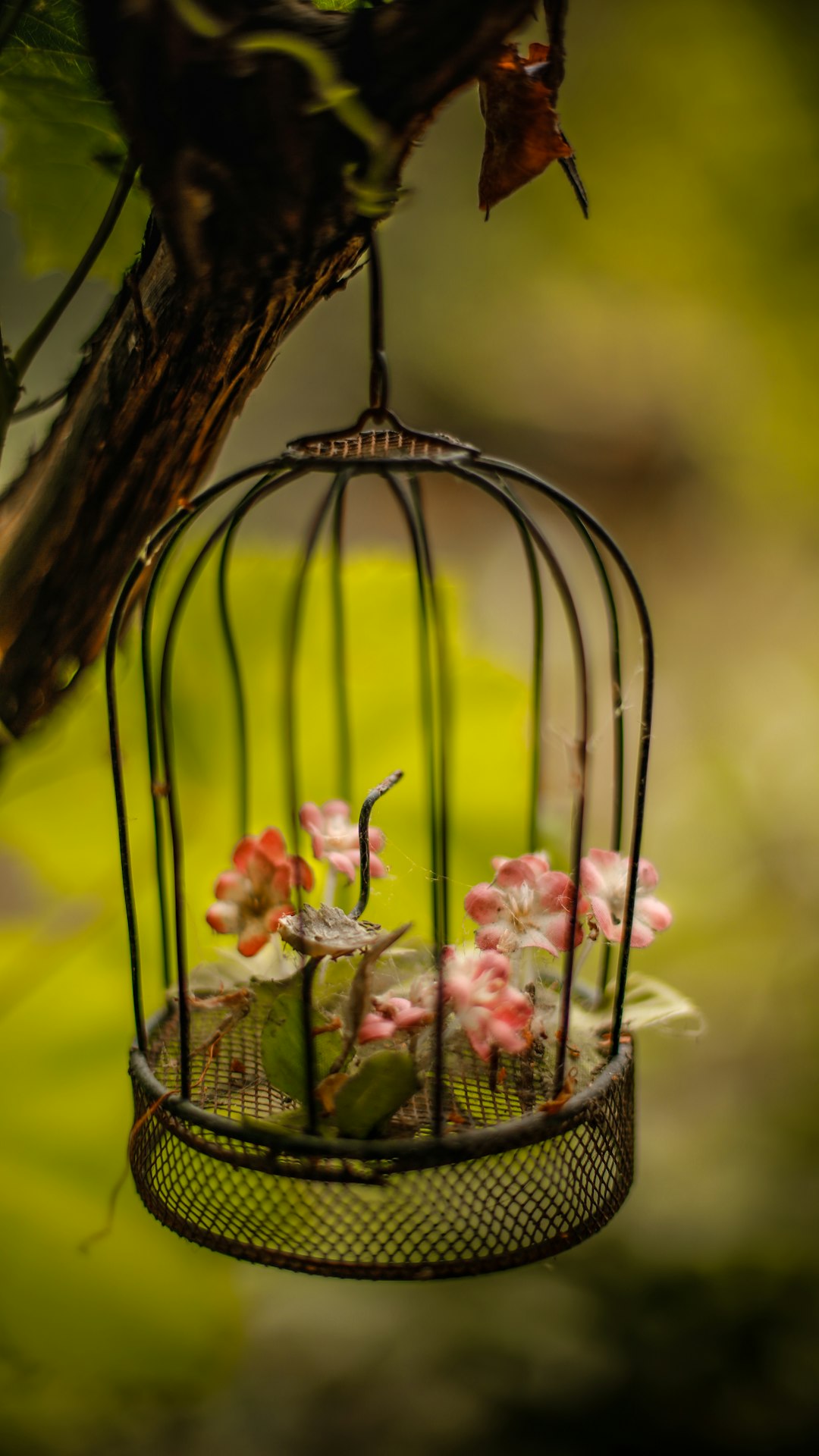 pink flowers in black steel bird cage