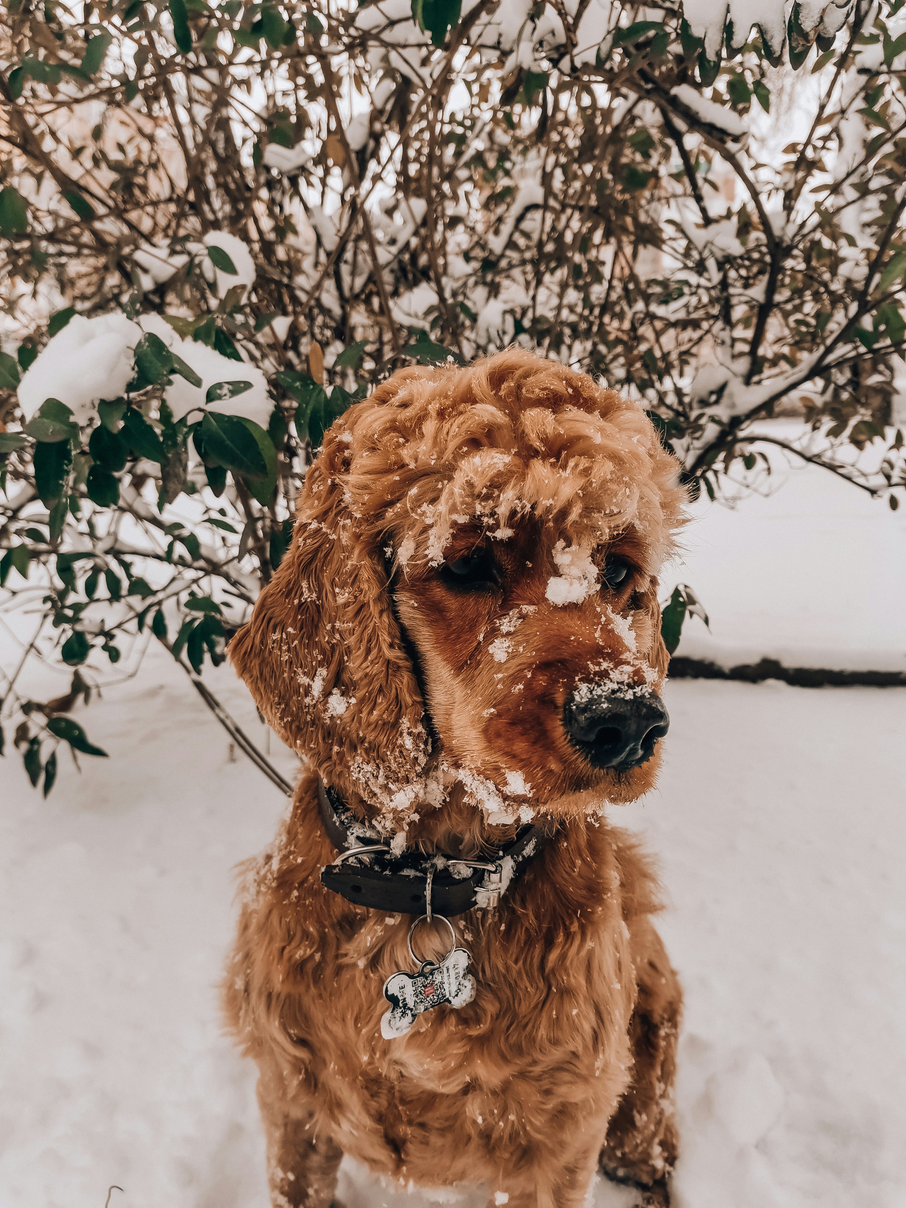 Photo by irishka_bazhenova_