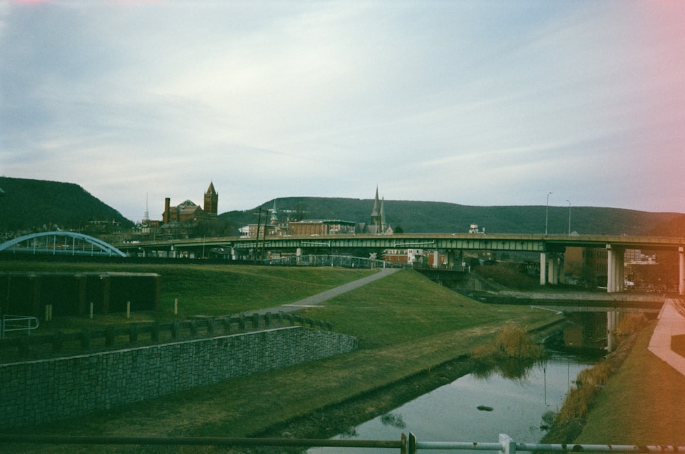 green grass field near body of water during daytime