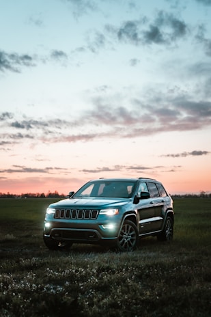 gray bmw x 6 on green grass field during sunset