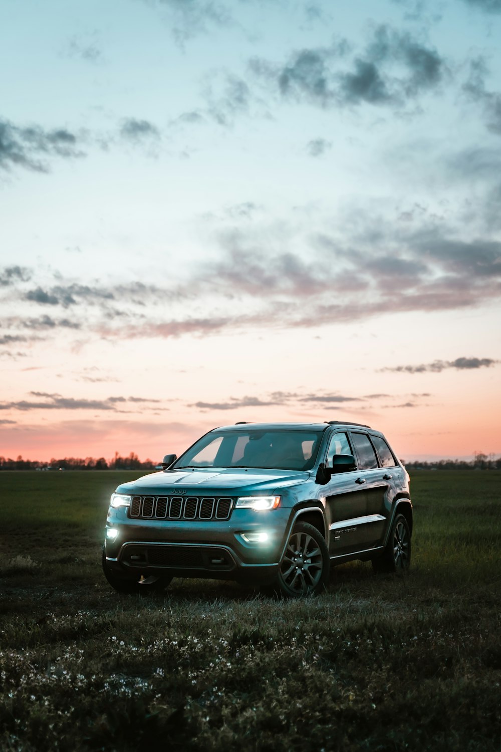 gray bmw x 6 on green grass field during sunset