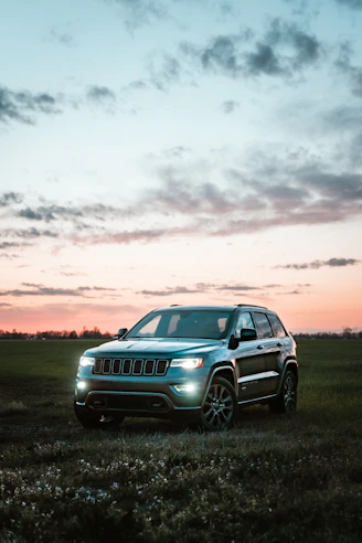 gray bmw x 6 on green grass field during sunset