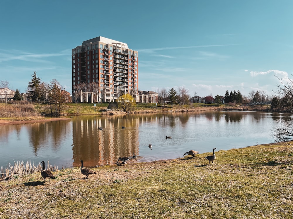 body of water near trees and buildings during daytime