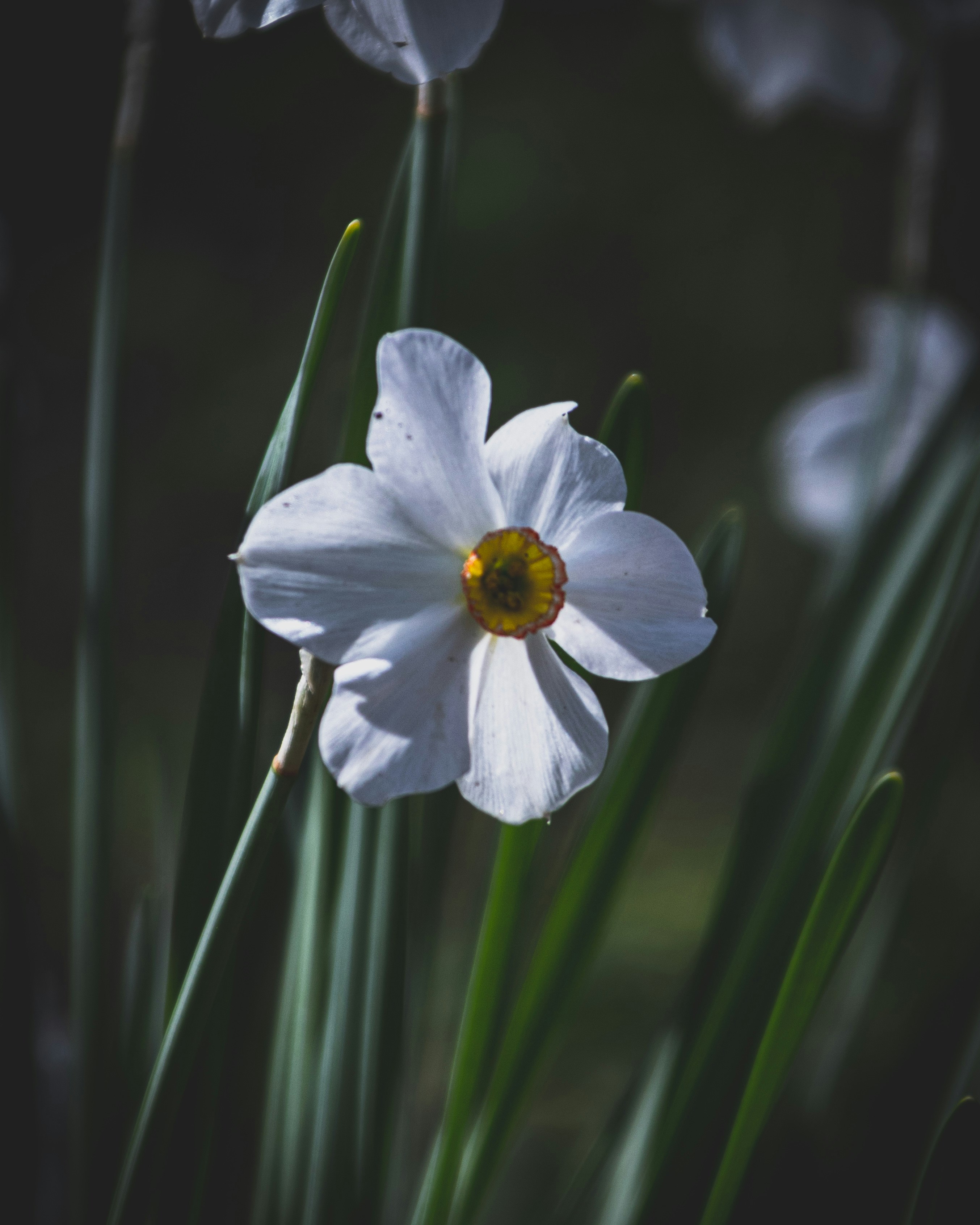 Photo by jeffrey_jpeg