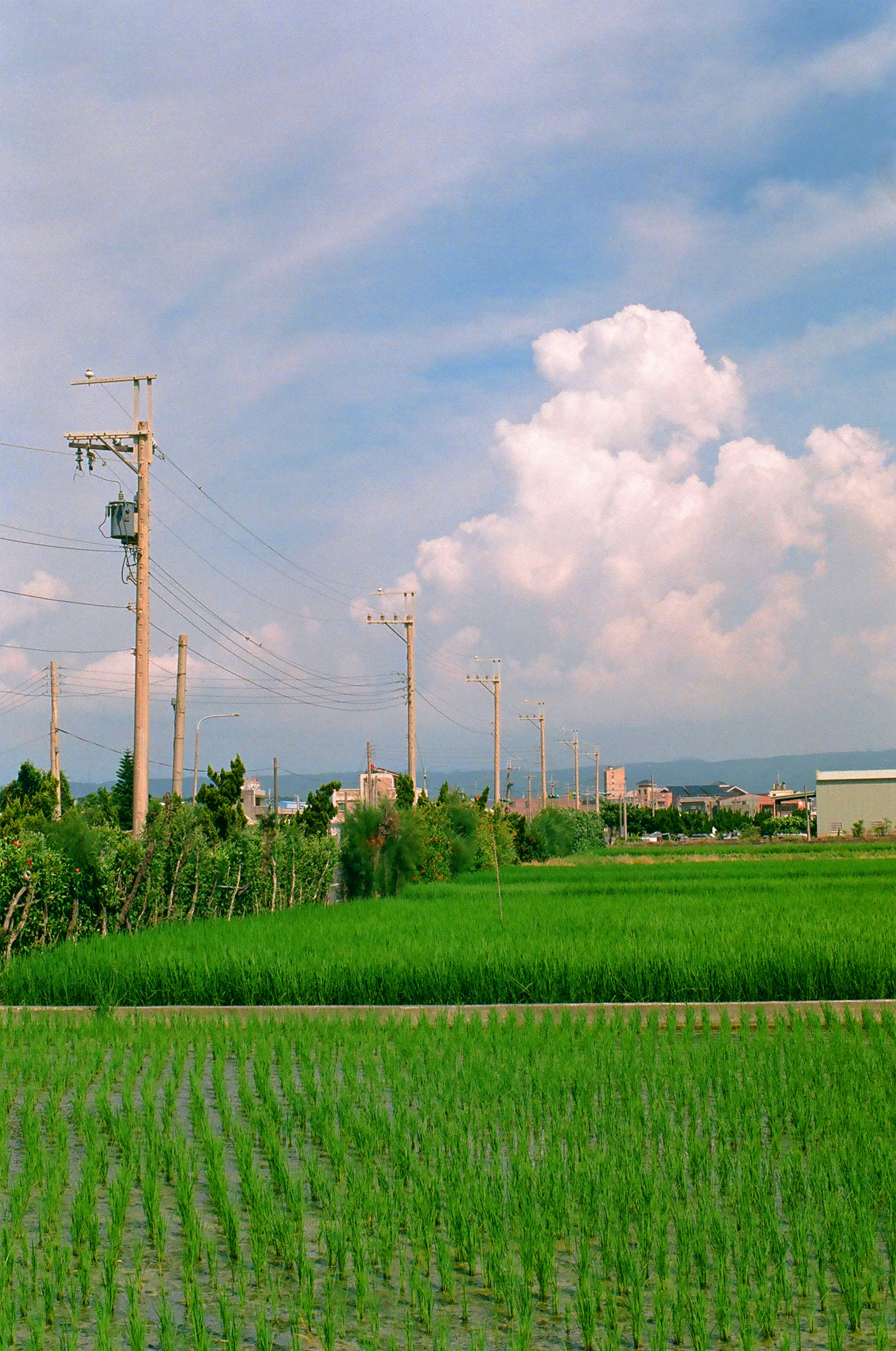 Photo by hanzlog