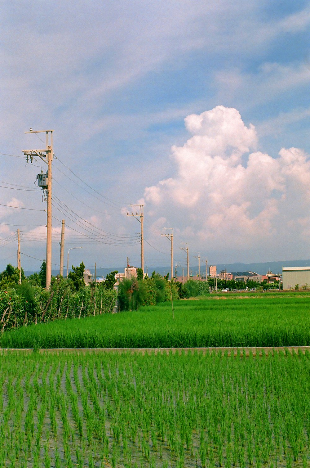 Green grass field under blue sky during daytime photo – Free Field ...