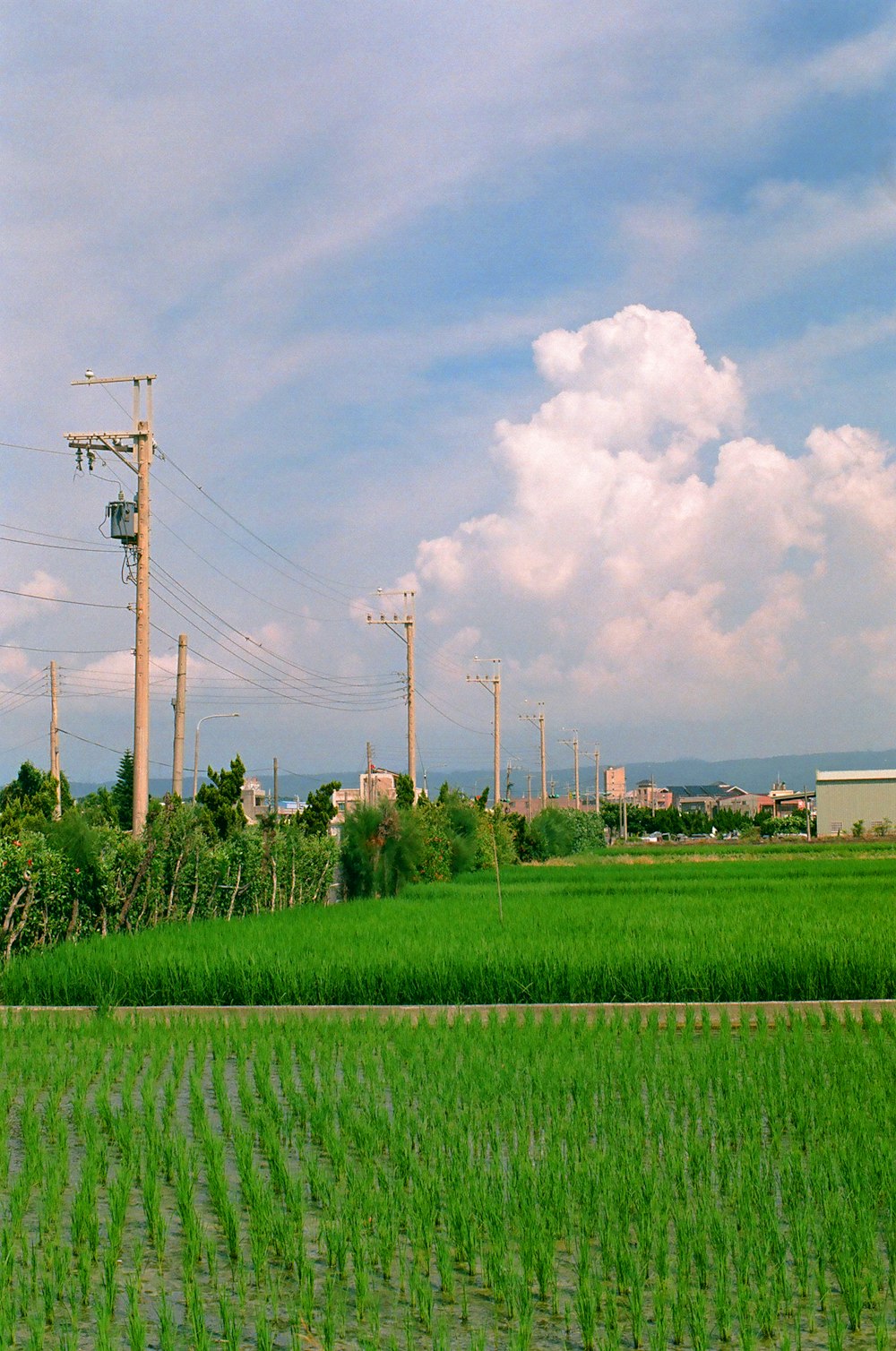 green grass field under blue sky during daytime