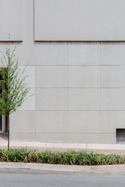 A minimalist urban scene features a tall, light gray concrete wall with geometric paneling. In the foreground, a neatly manicured row of low green plants lines the edge of the sidewalk. A small tree with fresh green leaves grows close to the wall.