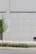 A minimalist urban scene features a tall, light gray concrete wall with geometric paneling. In the foreground, a neatly manicured row of low green plants lines the edge of the sidewalk. A small tree with fresh green leaves grows close to the wall.