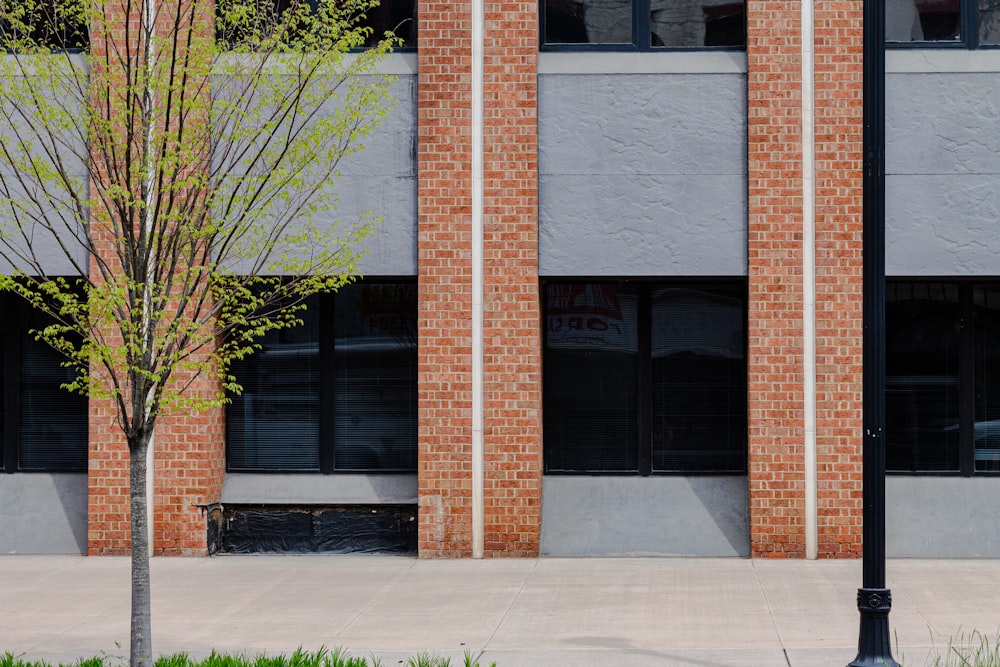 brown and white concrete building