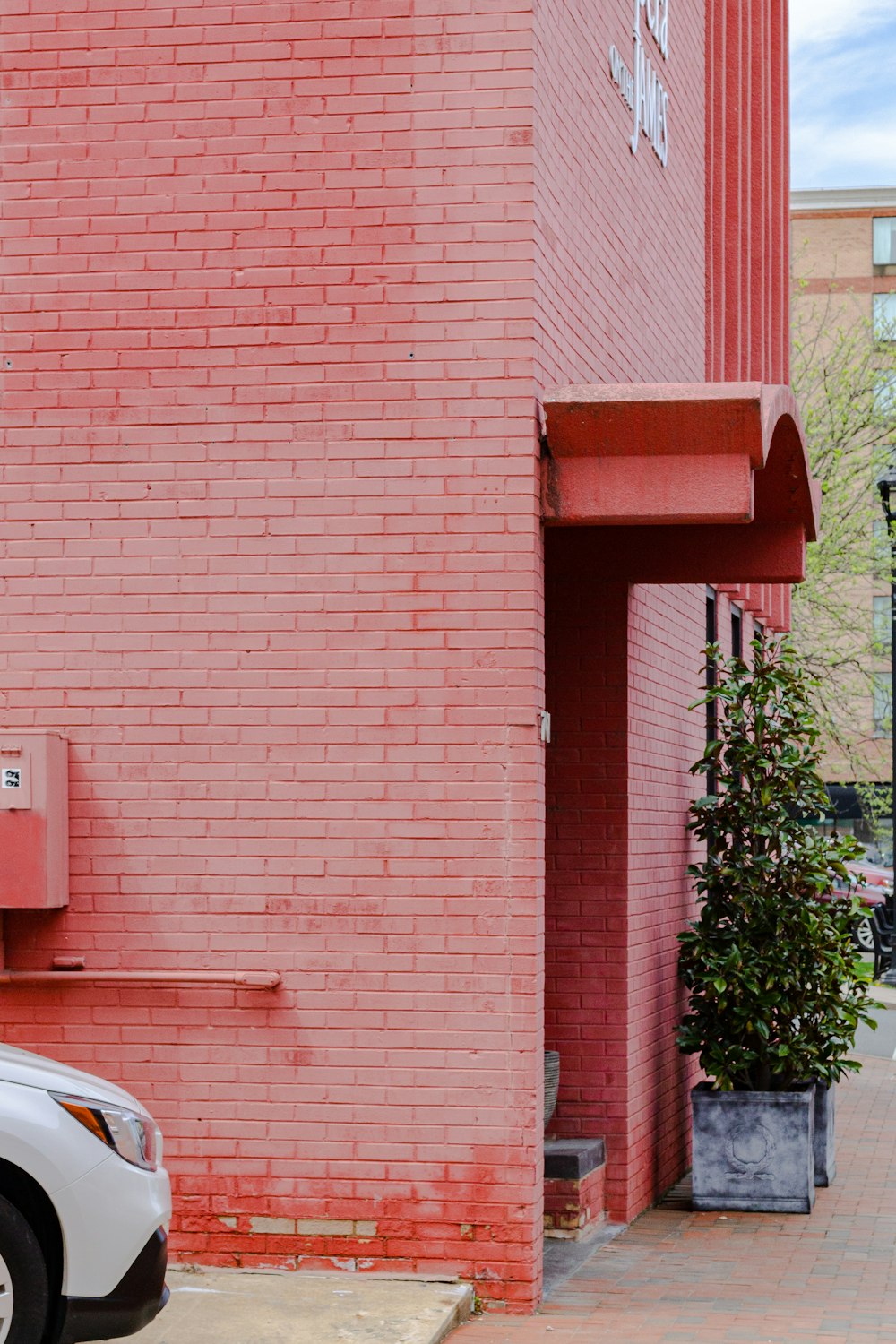 red brick wall near green tree during daytime