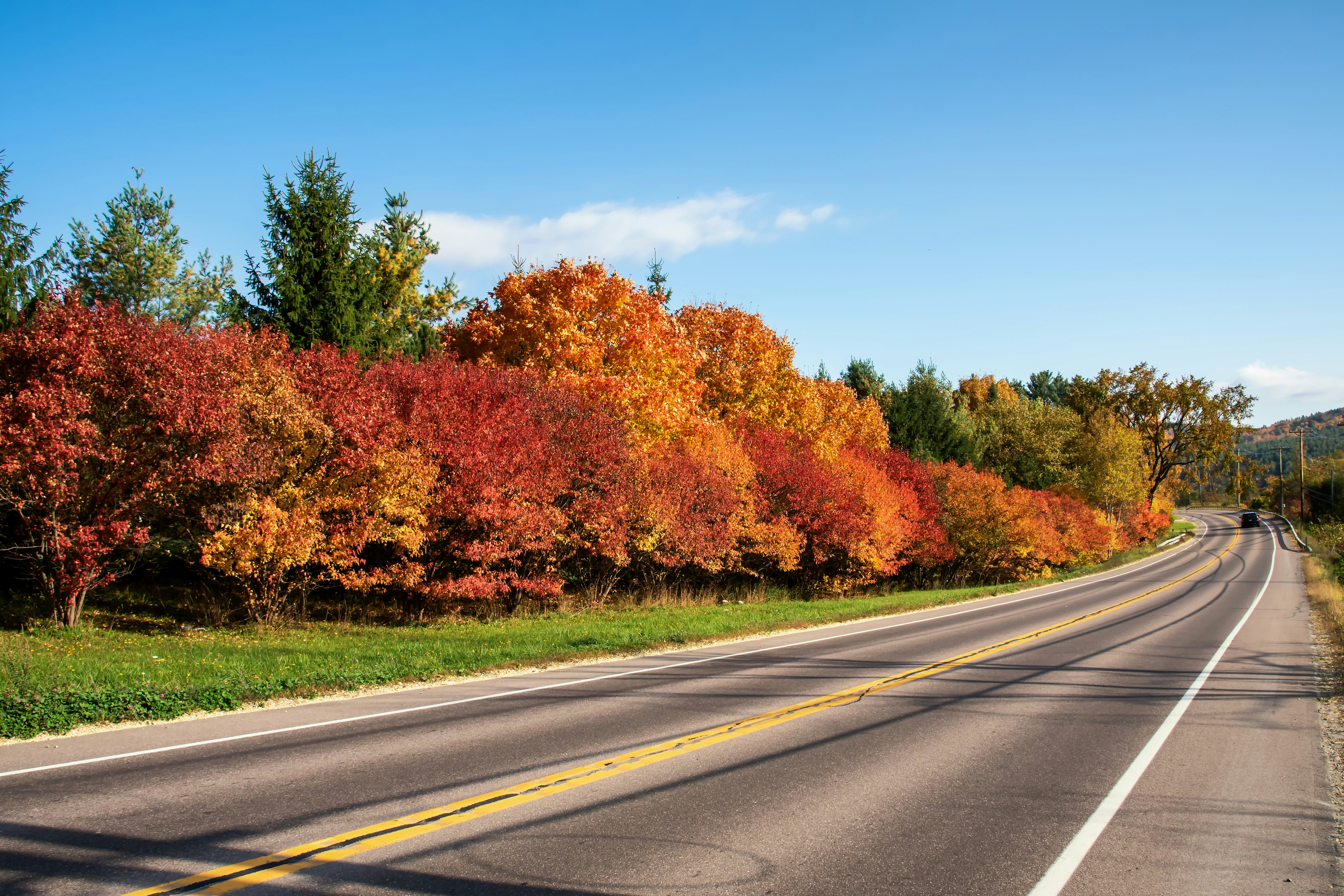 Road lined with trees in vibrant autumn colors