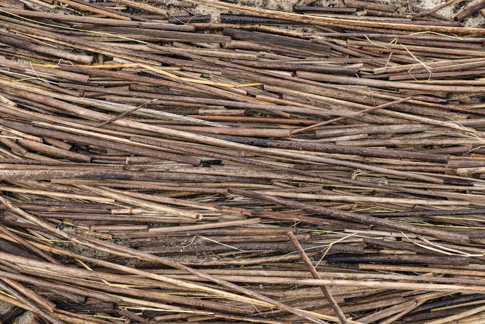 bâtons en bois brun sur une surface en bois brun