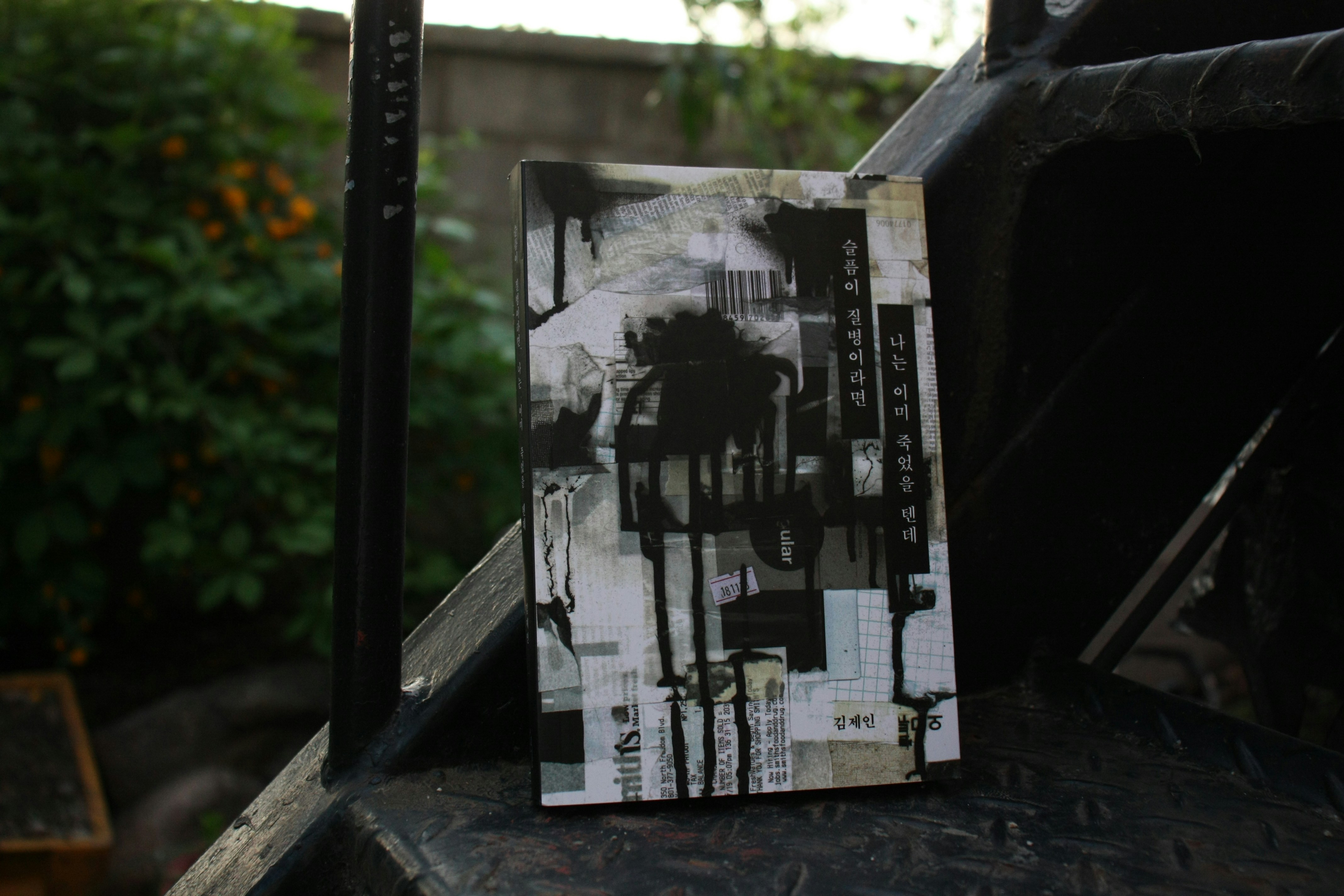 Capa do livro com ilustração do patinho feio