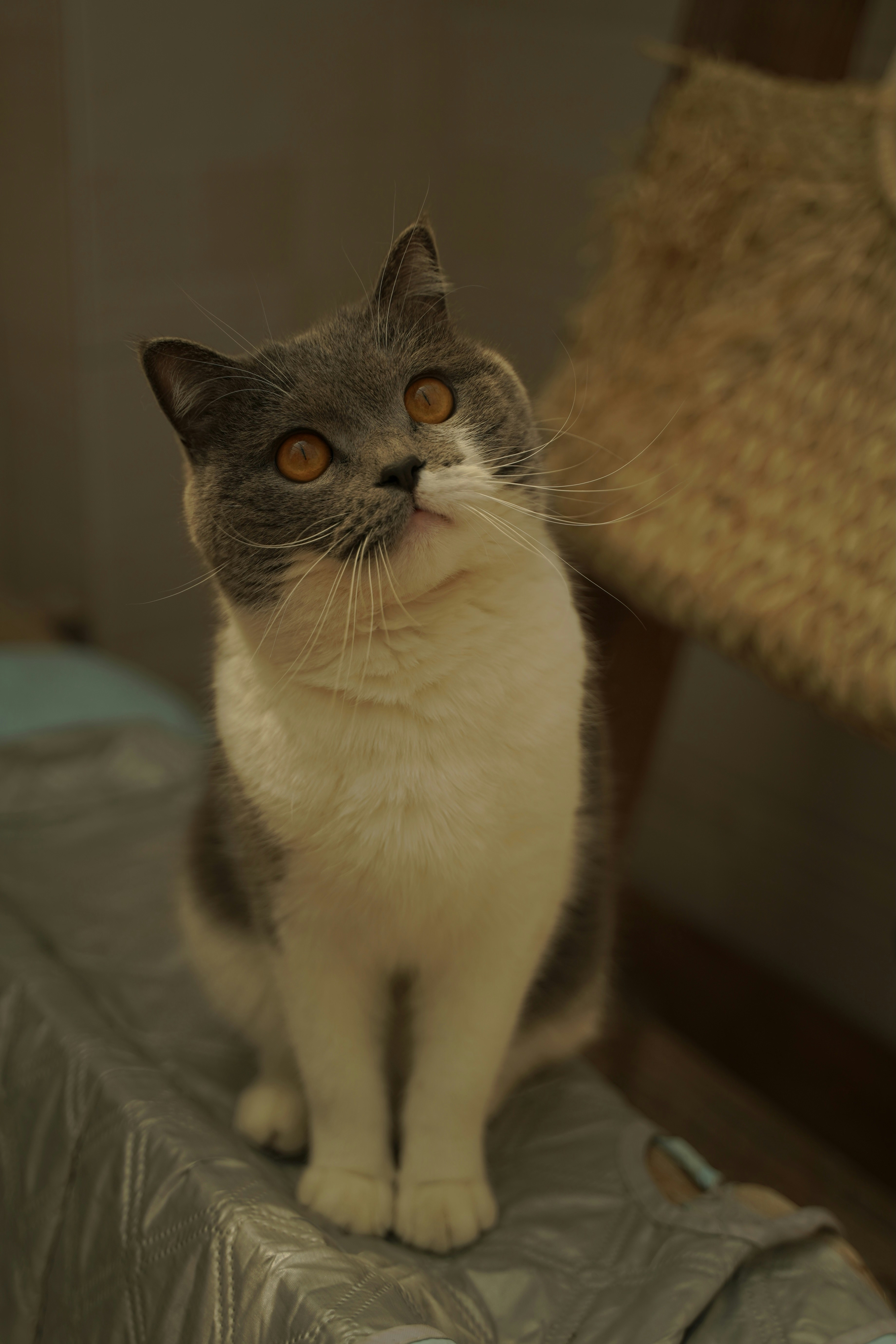 Photo by wangsheeran